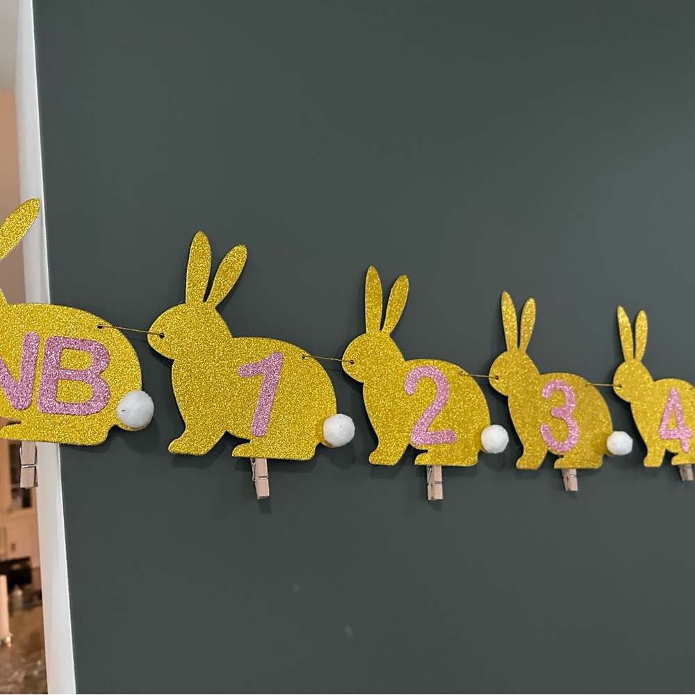 Baby Milestone Gold and Pink Rabbit Picture Holder Garland